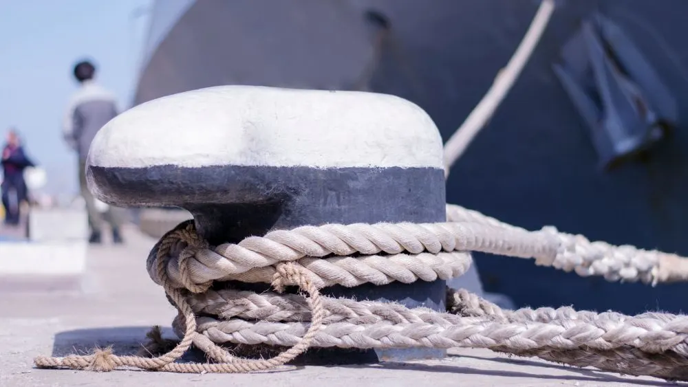 Supporting Sustainable Aquaculture: Logistics Success for Kementerian Kelautan dan Perikanan RI